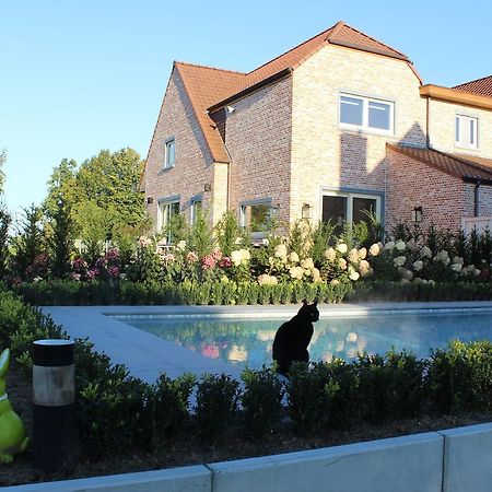 Cafcauter Bed and Breakfast Sint-Pieters-Kapelle  Exteriör bild