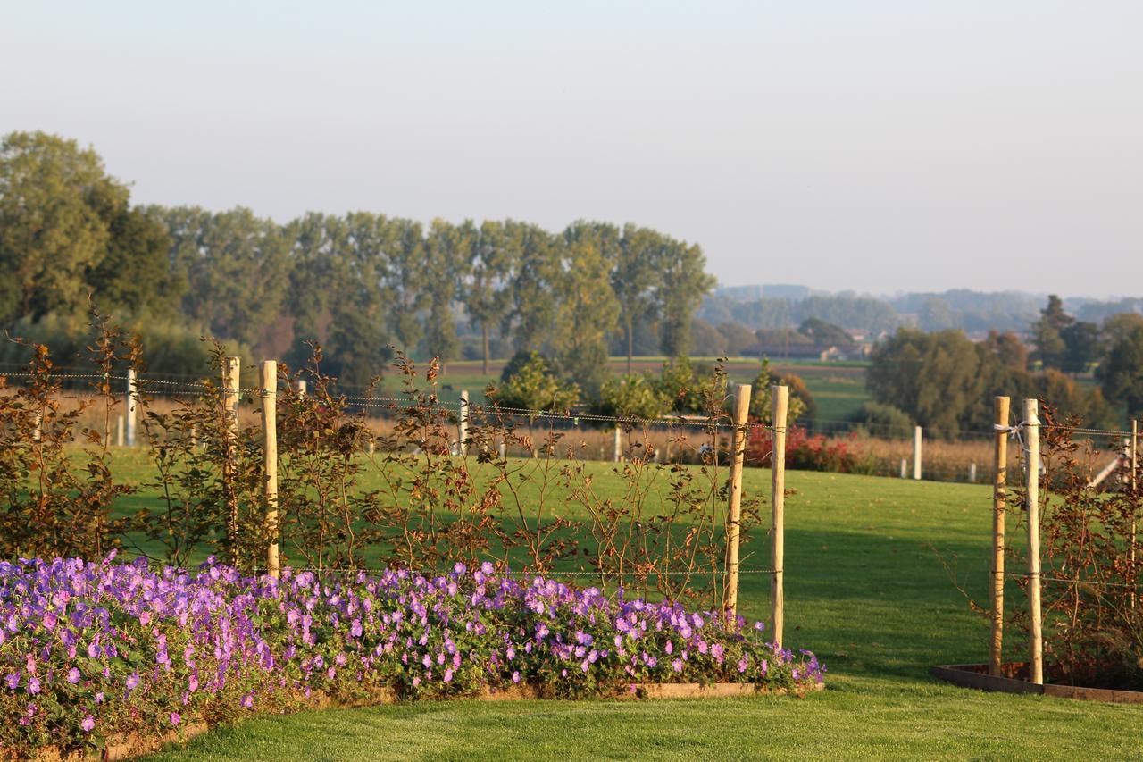 Cafcauter Bed and Breakfast Sint-Pieters-Kapelle  Exteriör bild